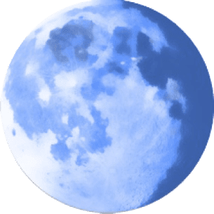 download pale moon browser